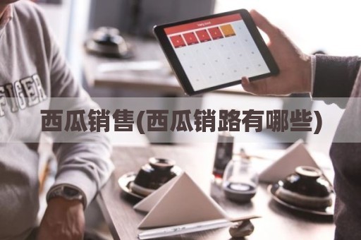 西瓜销售(西瓜销路有哪些)