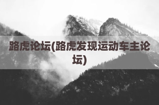 路虎论坛(路虎发现运动车主论坛)
