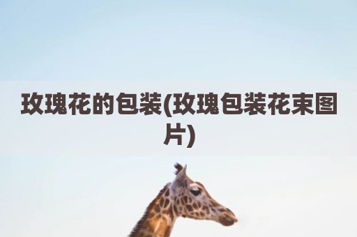玫瑰花的包装(玫瑰包装花束图片)