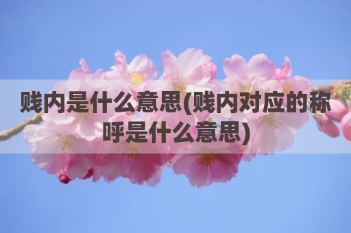 贱内是什么意思(贱内对应的称呼是什么意思)