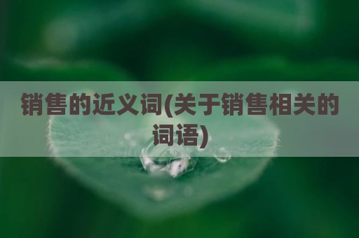 销售的近义词(关于销售相关的词语)