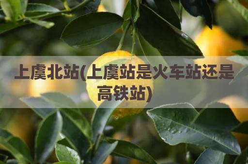 上虞北站(上虞站是火车站还是高铁站)