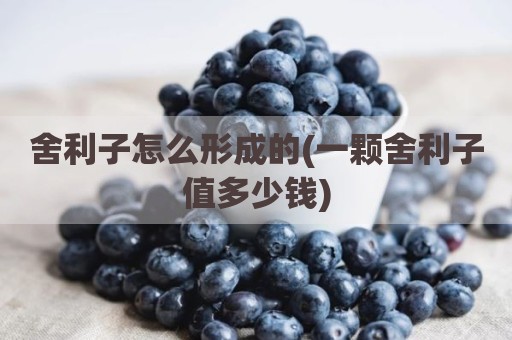 舍利子怎么形成的(一颗舍利子值多少钱)