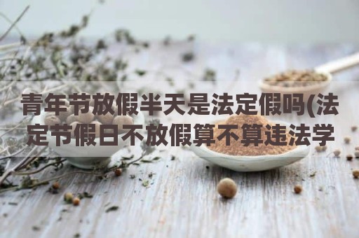 青年节放假半天是法定假吗(法定节假日不放假算不算违法学生)