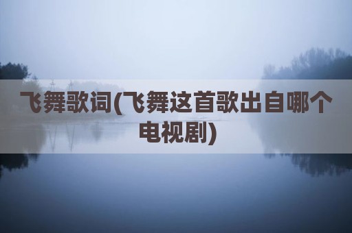 飞舞歌词(飞舞这首歌出自哪个电视剧)