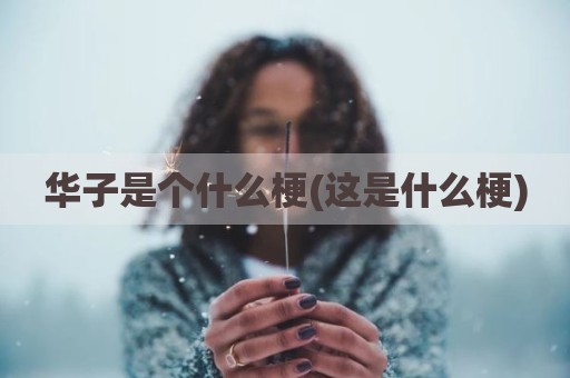 华子是个什么梗(这是什么梗)