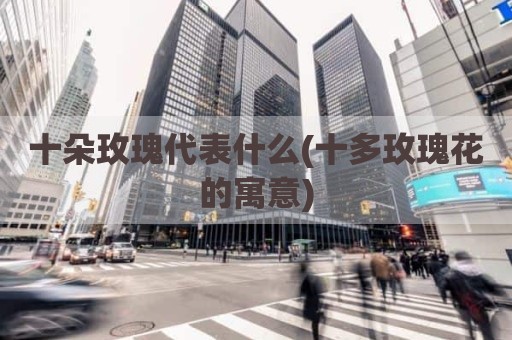 十朵玫瑰代表什么(十多玫瑰花的寓意)