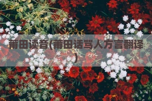 莆田读音(莆田话骂人方言翻译)