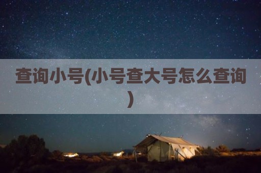 查询小号(小号查大号怎么查询)