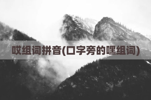 哎组词拼音(口字旁的嘿组词)