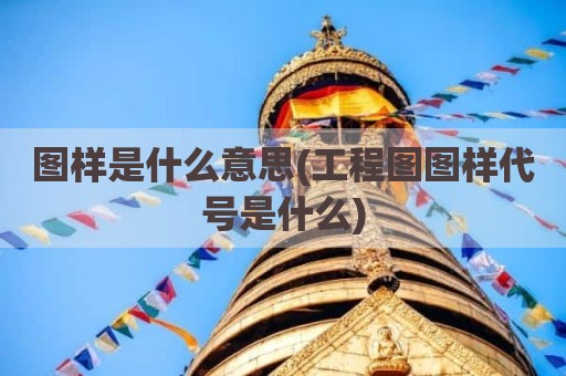 图样是什么意思(工程图图样代号是什么)