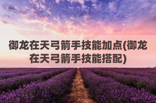 御龙在天弓箭手技能加点(御龙在天弓箭手技能搭配)