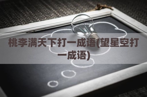 桃李满天下打一成语(望星空打一成语)