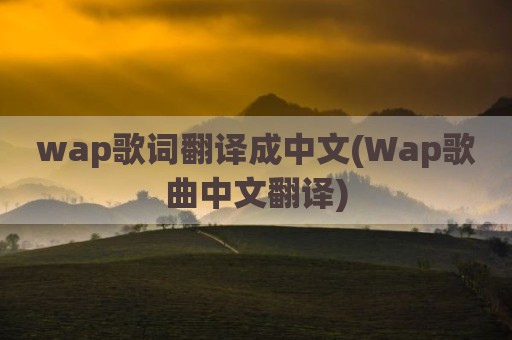 wap歌词翻译成中文(Wap歌曲中文翻译)