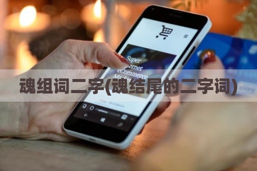 魂组词二字(魂结尾的二字词)