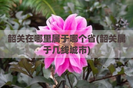 韶关在哪里属于哪个省(韶关属于几线城市)