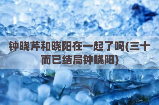 钟晓芹和晓阳在一起了吗(三十而已结局钟晓阳)
