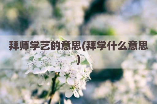 拜师学艺的意思(拜学什么意思)