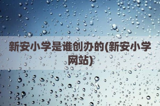 新安小学是谁创办的(新安小学网站)