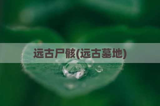 远古尸骸(远古墓地)