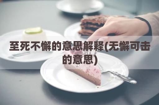 至死不懈的意思解释(无懈可击的意思)