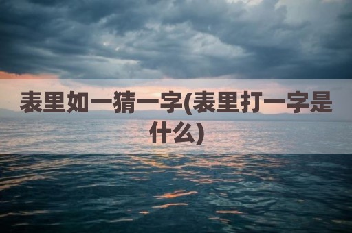 表里如一猜一字(表里打一字是什么)