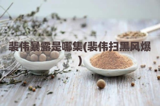 裴伟暴露是哪集(裴伟扫黑风爆)