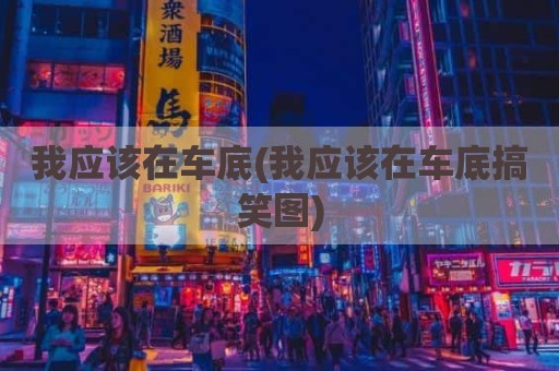 我应该在车底(我应该在车底搞笑图)