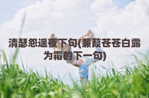 清瑟怨遥夜下句(蒹葭苍苍白露为霜的下一句)