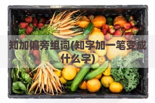 知加偏旁组词(知字加一笔变成什么字)
