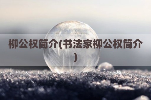 柳公权简介(书法家柳公权简介)