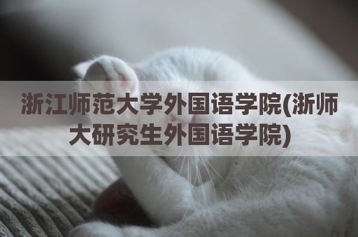 浙江师范大学外国语学院(浙师大研究生外国语学院)