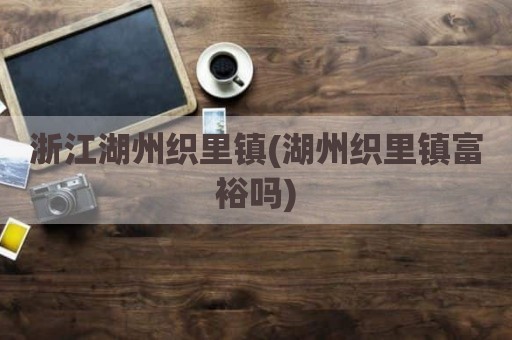 浙江湖州织里镇(湖州织里镇富裕吗)