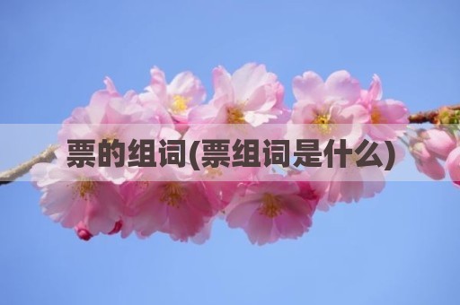 票的组词(票组词是什么)