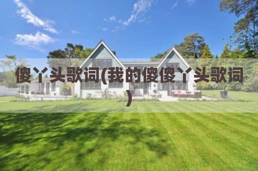 傻丫头歌词(我的傻傻丫头歌词)