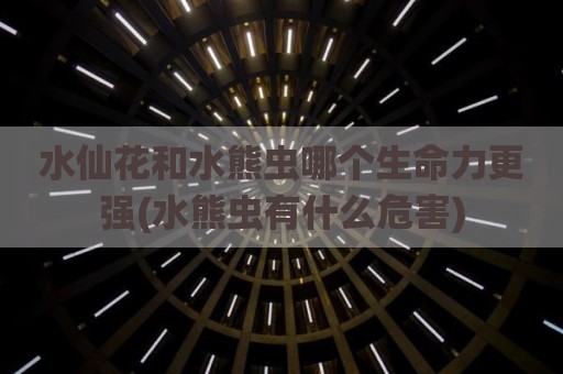 水仙花和水熊虫哪个生命力更强(水熊虫有什么危害)