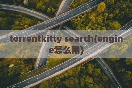 torrentkitty search(engine怎么用)