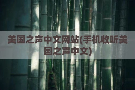 美国之声中文网站(手机收听美国之声中文)