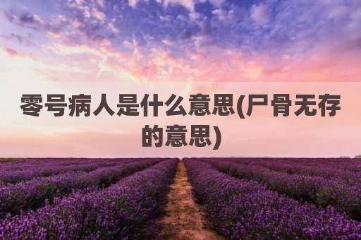 零号病人是什么意思(尸骨无存的意思)