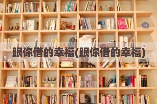 跟你借的幸福(跟你借的幸福)