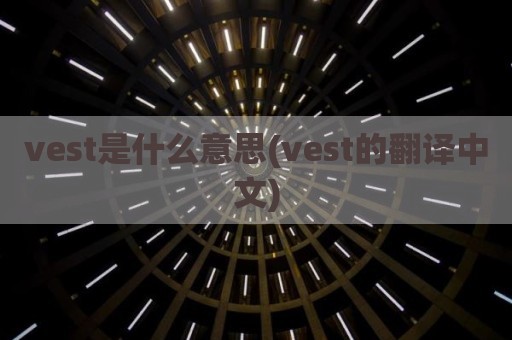 vest是什么意思(vest的翻译中文)