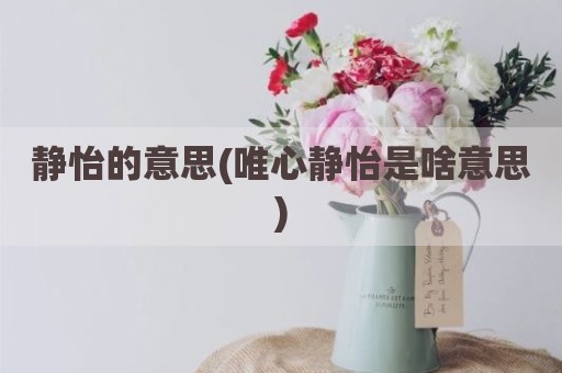 静怡的意思(唯心静怡是啥意思)