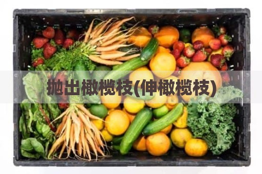 抛出橄榄枝(伸橄榄枝)