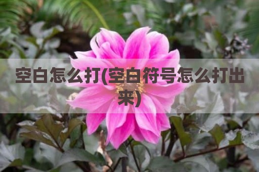 空白怎么打(空白符号怎么打出来)