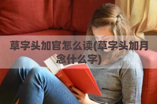 草字头加官怎么读(草字头加月念什么字)