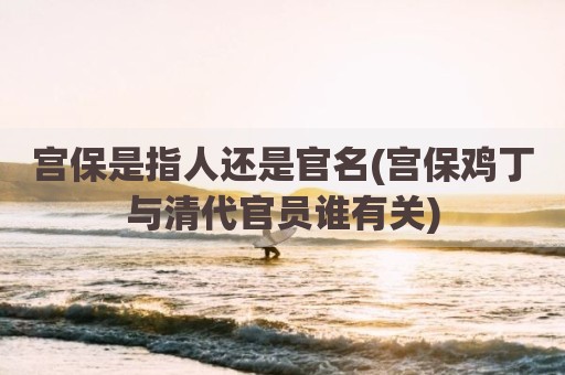 宫保是指人还是官名(宫保鸡丁与清代官员谁有关)
