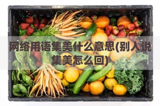 网络用语集美什么意思(别人说集美怎么回)