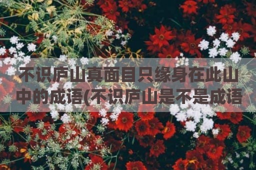 不识庐山真面目只缘身在此山中的成语(不识庐山是不是成语)