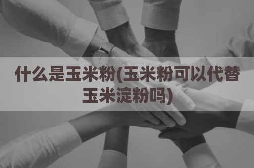 什么是玉米粉(玉米粉可以代替玉米淀粉吗)