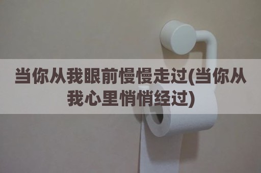 当你从我眼前慢慢走过(当你从我心里悄悄经过)